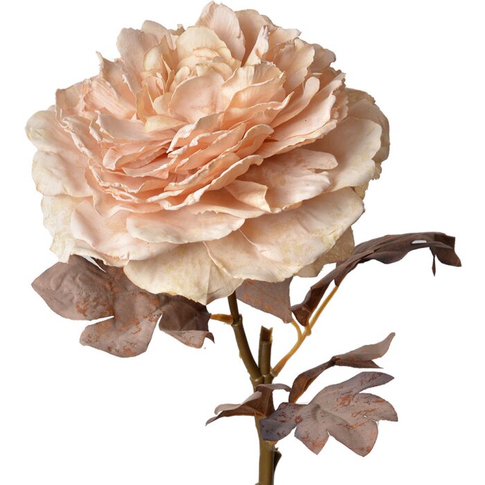 Clayre & Eef 6PL0334 Fiore artificiale Rosa 10x10x60 cm