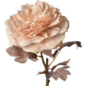Clayre & Eef 6PL0334 Fiore artificiale Rosa 10x10x60 cm