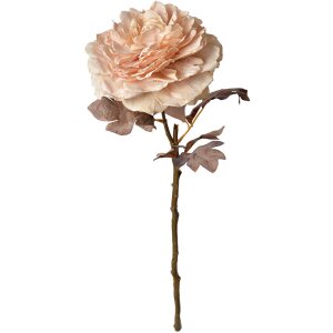 Clayre & Eef 6PL0334 Fiore artificiale Rosa 10x10x60 cm