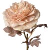 Clayre & Eef 6PL0334 Fiore artificiale Rosa 10x10x60 cm