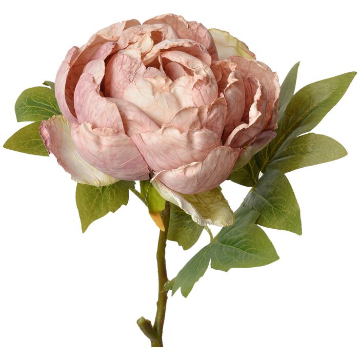 Clayre & Eef 6PL0335 Fiore artificiale Rosa 10x10x48 cm