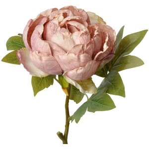 Clayre & Eef 6PL0335 Fiore artificiale Rosa 10x10x48 cm