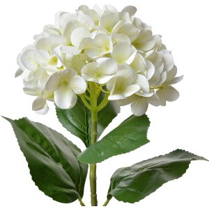 Clayre & Eef 5PL0137BE Fiore artificiale Beige Verde...