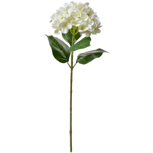 Clayre & Eef 5PL0137BE Fiore artificiale Beige Verde 16x15x68 cm