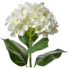 Clayre & Eef 5PL0137BE Fiore artificiale Beige Verde 16x15x68 cm