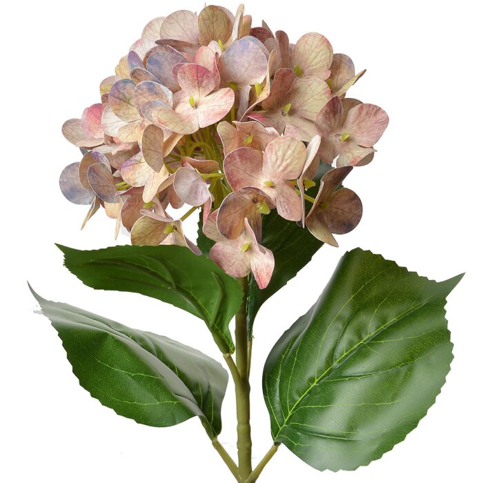Clayre & Eef 5PL0137P Fiore artificiale rosa verde 16x15x68 cm