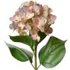 Clayre & Eef 5PL0137P Fiore artificiale rosa verde 16x15x68 cm