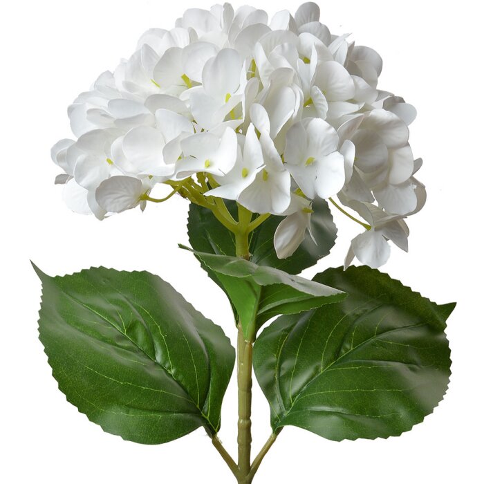 Clayre & Eef 5PL0137W Fiore artificiale bianco verde 16x15x68 cm