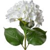 Clayre & Eef 5PL0137W Fiore artificiale bianco verde 16x15x68 cm