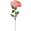 Clayre & Eef 5PL0138P Fiore artificiale Rosa Verde 19x19x75 cm
