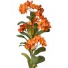 Clayre & Eef 6PL0344O Ramo decorativo Fiori Arancione Verde 17x14x70 cm