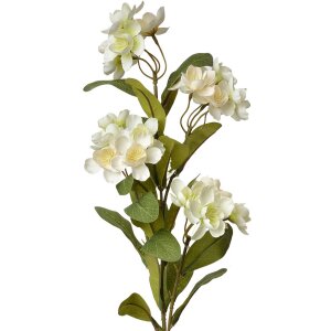Clayre & Eef 6PL0344W Ramo decorativo Fiori Bianco...