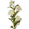 Clayre & Eef 6PL0344W Ramo decorativo Fiori Bianco Verde 17x14x70 cm