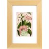 Cornice Goldbuch Rustiq naturale 10x15 cm con passe-partout 7x10 cm