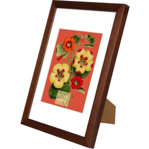 Cornice Goldbuch Rustiq marrone 20x30 cm passe-partout 15x20 cm
