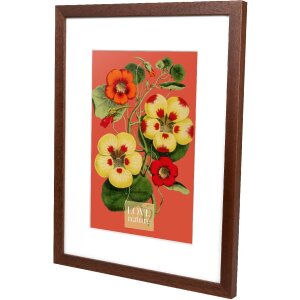 Cornice Goldbuch Rustiq marrone 30x40 cm con passe-partout 20x30 cm