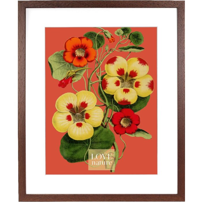 Goldbuch Rustiq cornice marrone 40x50 cm con passe-partout 30x40 cm