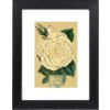 Cornice Goldbuch Rustiq nero 15x20 cm con passe-partout 10x15 cm