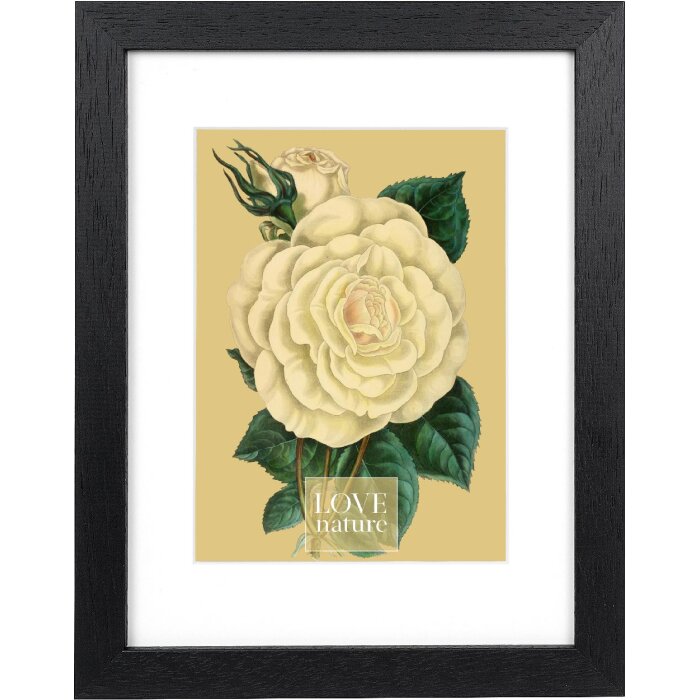 Cornice Goldbuch Rustiq nero 18x24 cm con passe-partout 13x18 cm