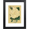 Cornice Goldbuch Rustiq nero 18x24 cm con passe-partout 13x18 cm