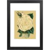 Cornice Goldbuch Rustiq nero 20x30 cm con passe-partout 15x20 cm