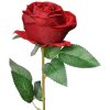 Clayre & Eef 6PL0359BU Fiore artificiale Rosa Bordeaux 8x8x50 cm