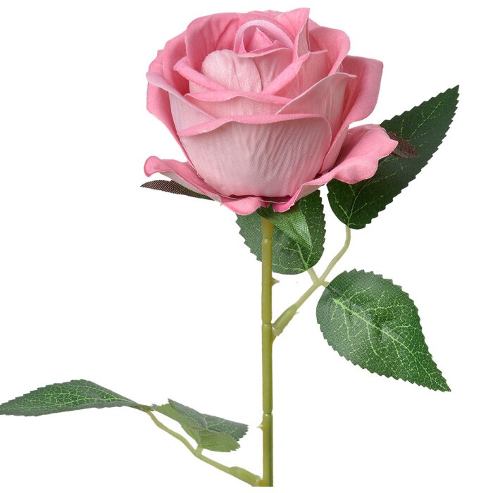 Clayre & Eef 6PL0359P Fiore artificiale di rosa 8x8x50 cm