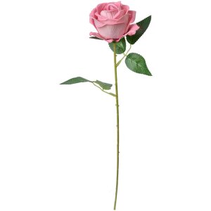Clayre & Eef 6PL0359P Fiore artificiale di rosa 8x8x50 cm