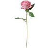 Clayre & Eef 6PL0359P Fiore artificiale di rosa 8x8x50 cm