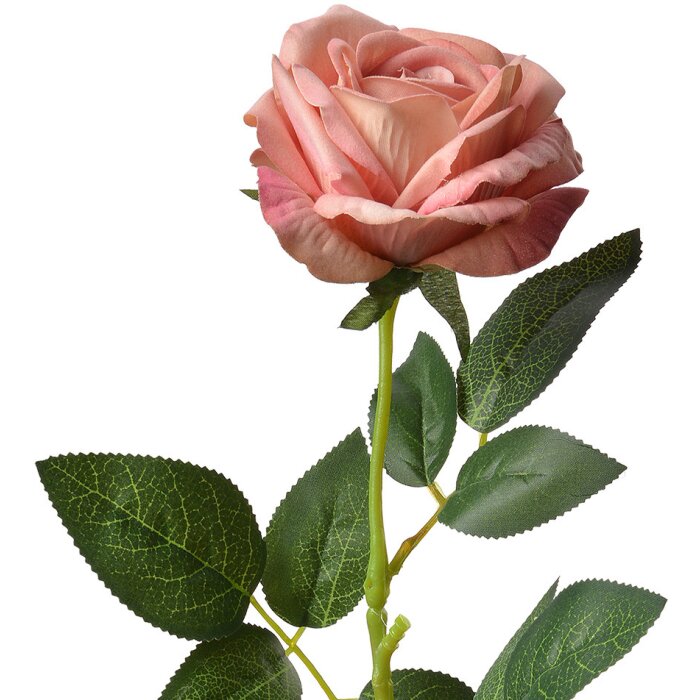 Clayre & Eef 6PL0360 Fiore artificiale di rosa 10x10x62 cm