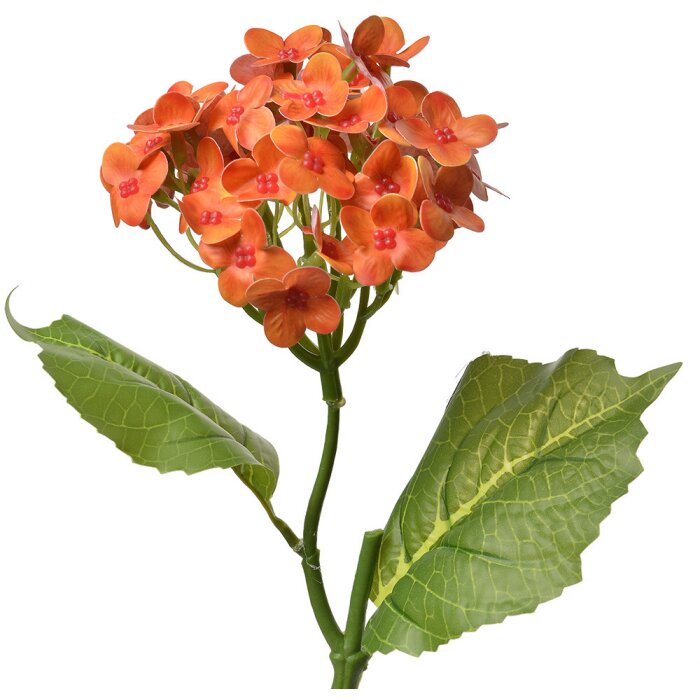 Clayre & Eef 6PL0365O Fiore artificiale 19x10x37 cm