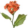 Clayre & Eef 6PL0365O Fiore artificiale 19x10x37 cm