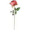 Clayre & Eef 6PL0366DP Fiore artificiale rosa 8x8x62 cm
