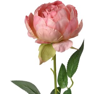 Clayre & Eef 6PL0366P Fiore artificiale di rosa...