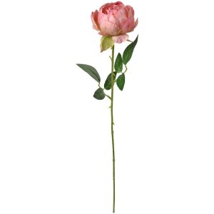 Clayre & Eef 6PL0366P Fiore artificiale di rosa 8x8x62 cm