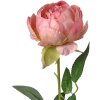 Clayre & Eef 6PL0366P Fiore artificiale di rosa 8x8x62 cm