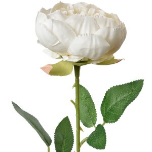 Clayre & Eef 6PL0366W Fiore Artificiale Rosa Bianco...