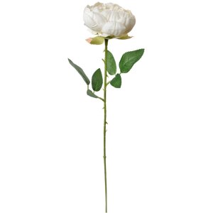 Clayre & Eef 6PL0366W Fiore Artificiale Rosa Bianco...