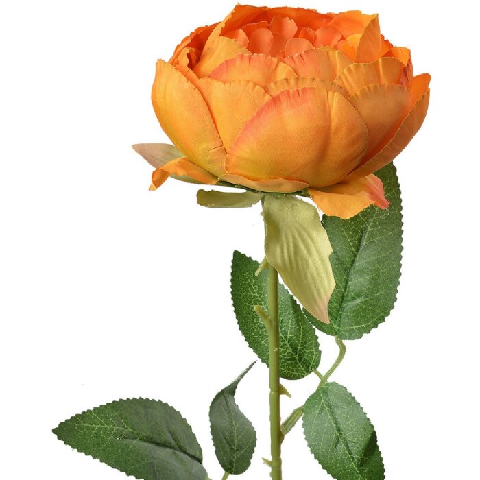 Clayre & Eef 6PL0366Y Fiore artificiale rosa 8x8x62 cm