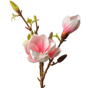 Clayre & Eef 5PL0128P Fiore artificiale 17x11x70 cm