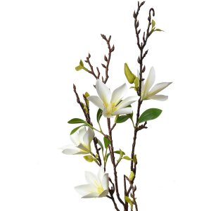 Clayre & Eef 5PL0129W Ramo di decorazione con fiori...