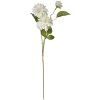 Clayre & Eef 5PL0130W Fiore artificiale bianco 17x10x70 cm