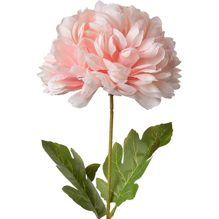Clayre & Eef 5PL0133LP Fiore artificiale rosa 15x15x80 cm