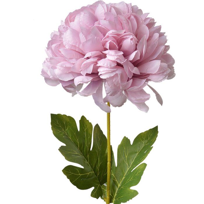 Clayre & Eef 5PL0133LPA Fiore artificiale viola 15x15x80 cm