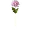 Clayre & Eef 5PL0133LPA Fiore artificiale viola 15x15x80 cm