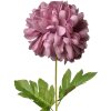 Clayre & Eef 5PL0133PA Fiore artificiale viola 15x15x80 cm