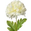 Clayre & Eef 5PL0133W Fiore artificiale bianco 15x15x80 cm