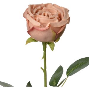 Clayre & Eef 6PL0369CH Fiore artificiale di rosa...