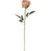 Clayre & Eef 6PL0369CH Fiore artificiale di rosa 9x9x61 cm