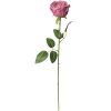 Clayre & Eef 6PL0369DP Fiore artificiale di rosa 9x9x61 cm